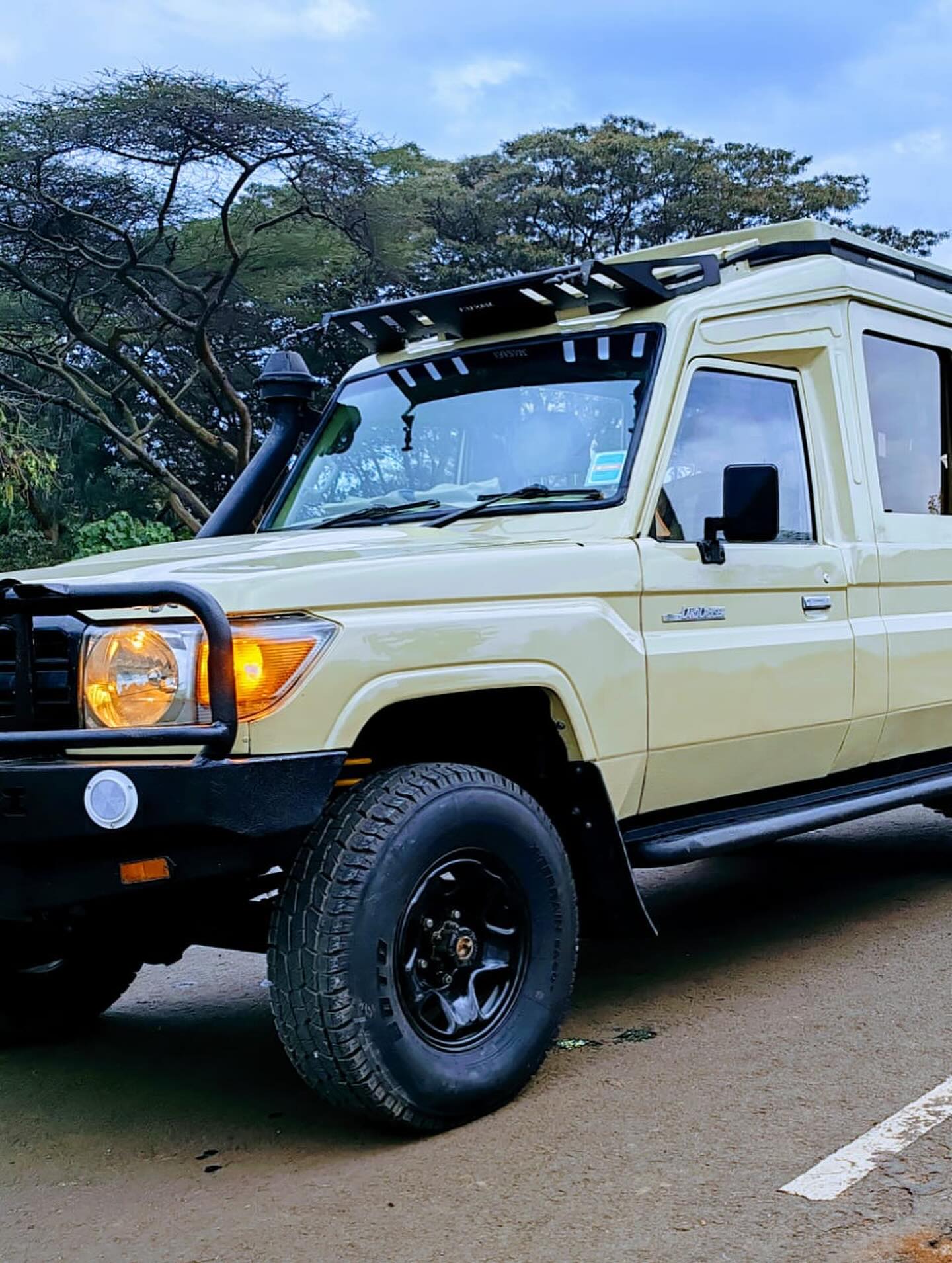 Custom Safari Expedition Rig